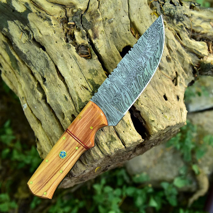 Artisan-Crafted  Damascus Hunting Knife | Olive Wood Handle