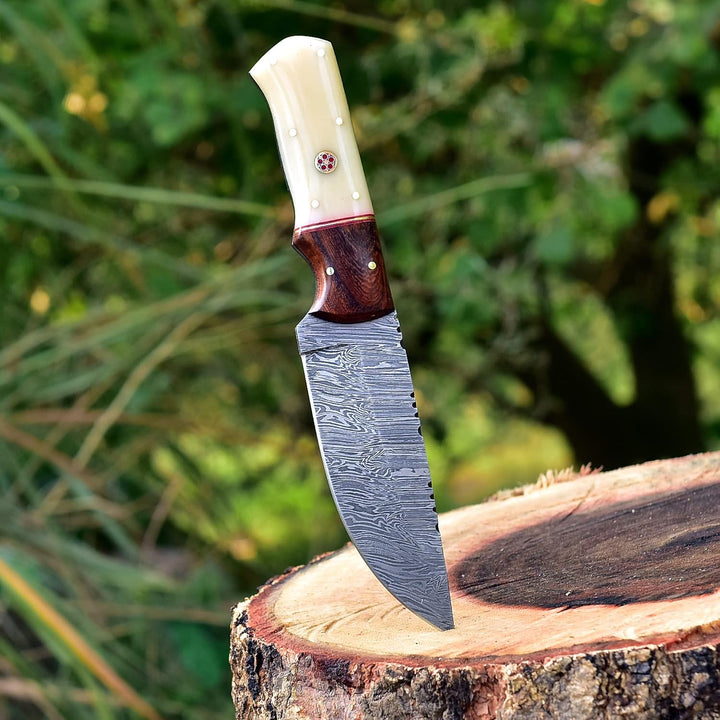 9" Damascus Hunting Knife | Camel Bone and Wood Handle
