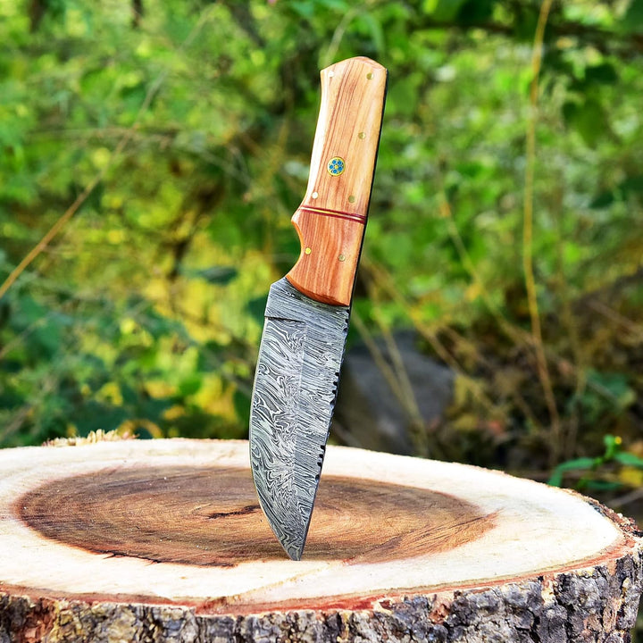 Artisan-Crafted  Damascus Hunting Knife | Olive Wood Handle