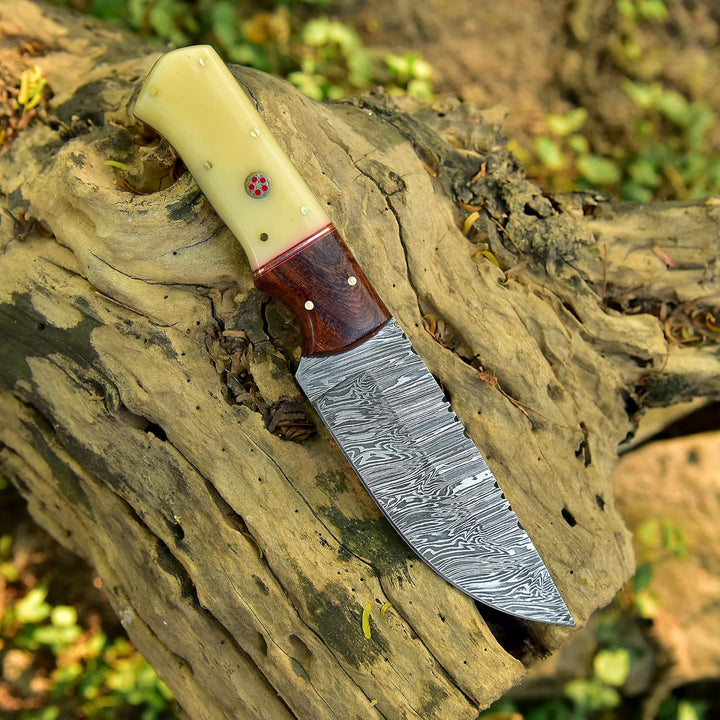 9" Damascus Hunting Knife | Camel Bone and Wood Handle