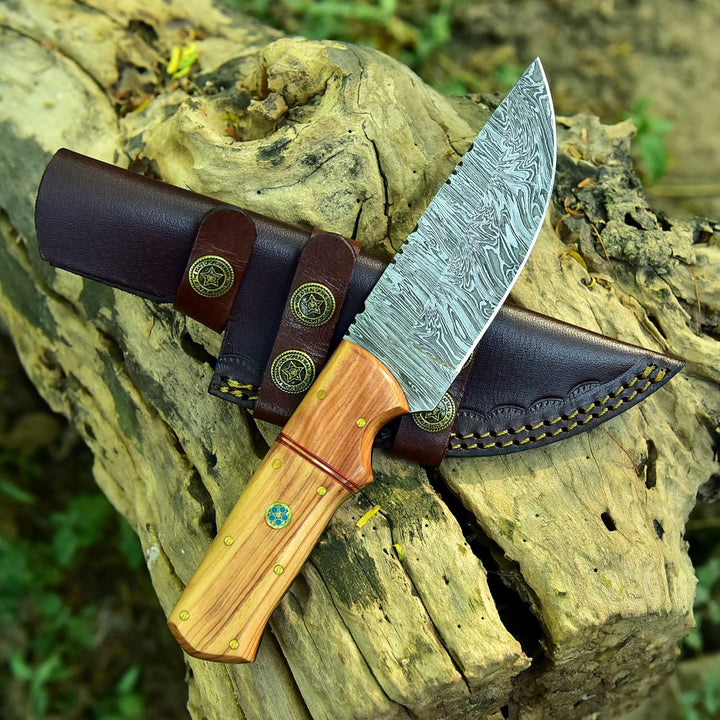 Artisan-Crafted  Damascus Hunting Knife | Olive Wood Handle